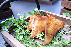 THE ULTIMATE GARDEN PARTY